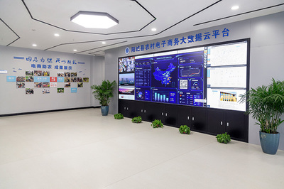 电商服务中心 乡村振兴的“数字引擎”