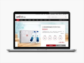 远丰电商集团 以专业服务驱动企业电子商务成功的卓越典范