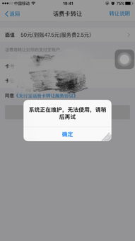 支付宝话费充值维护期间常见问题解析